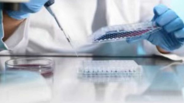 实盘股票配资平台 ST香雪：TAEST1901注射液获得临床试验批准